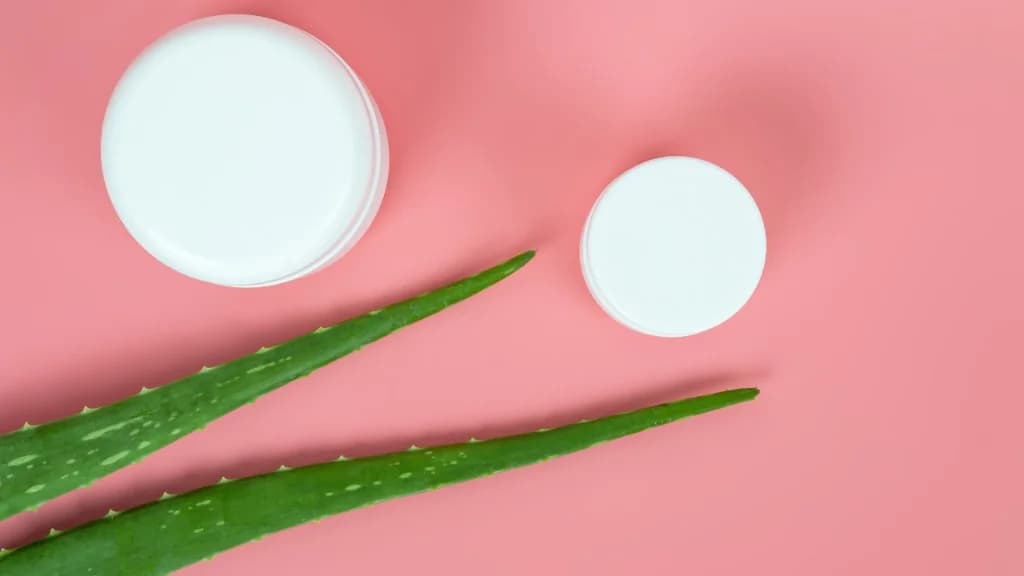 Aloe vera leaves and plain skincare jars on a soft pink background for a natural daily routine